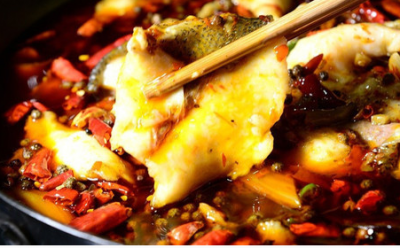 選擇火鍋魚(yú)培訓(xùn)機(jī)構(gòu)擇在哪里很好？