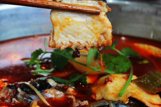 20230822123932990161.png 20230822123932990161.png